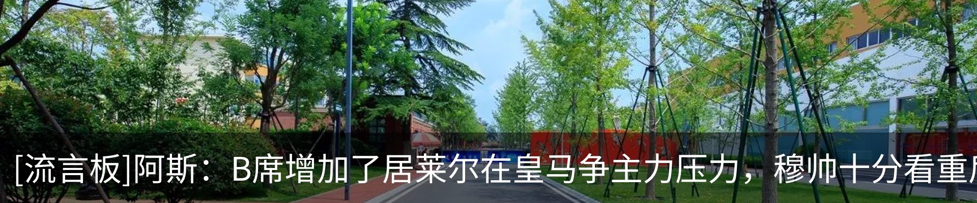 新闻动态
